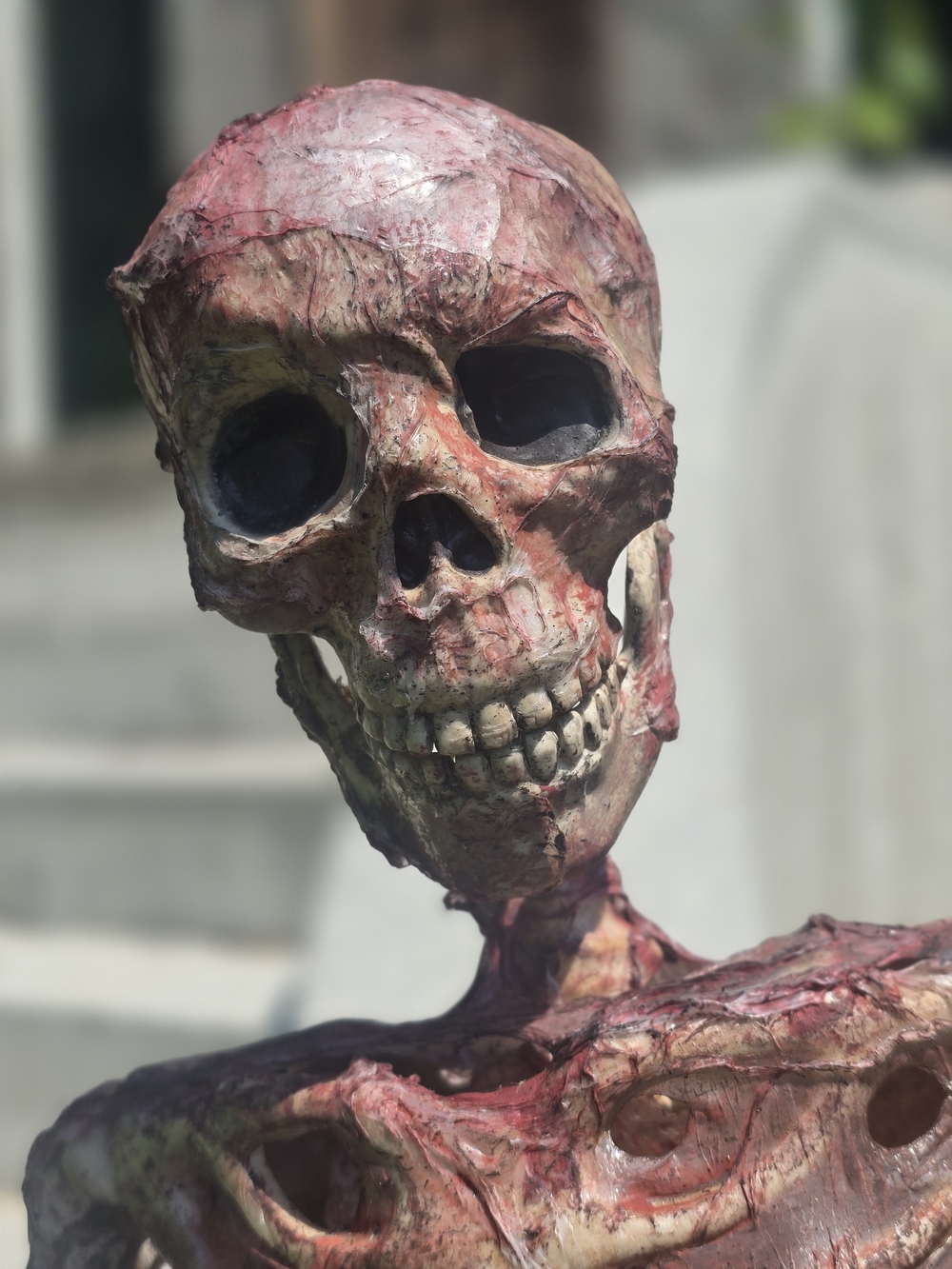 Skeleton Corpse Halloween Prop - Picture 3 of 7